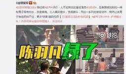 张荃艺最新爆料消息视频,事件真相与幕后黑幕
